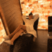 Warm bed at the spa